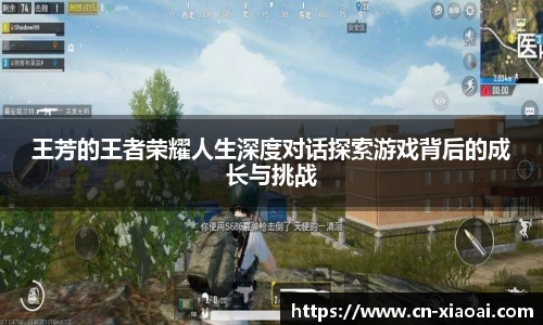 王芳的王者荣耀人生深度对话探索游戏背后的成长与挑战